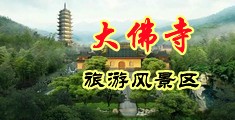 大鸡巴疯狂操骚穴视频中国浙江-新昌大佛寺旅游风景区